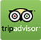 trip advisor